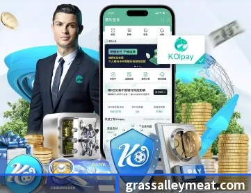 乐鱼网页版在线登录 APP